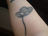 BA043_thumb.png