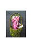 hana001_thumb.png