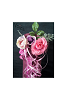 hana002_thumb.png