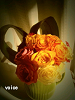 hana013_thumb.png