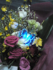 hana024_thumb.png
