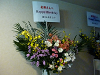 hana032_thumb.png