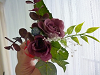 hana039_thumb.png