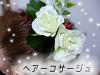 hana053_thumb.png