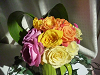 hana061_thumb.png